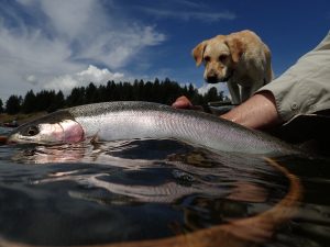 Tunkwa fish and Sadie 25July16