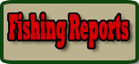 Fishing Reports